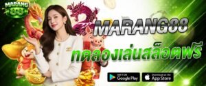 Marang88 ทดลองเล่นสล็อตฟรี เล่นสล็อตได้เงินจริง ไม่ต้องฝาก เว็บตรง